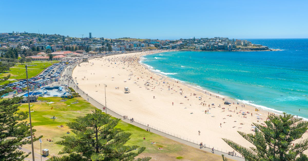 The Bondi