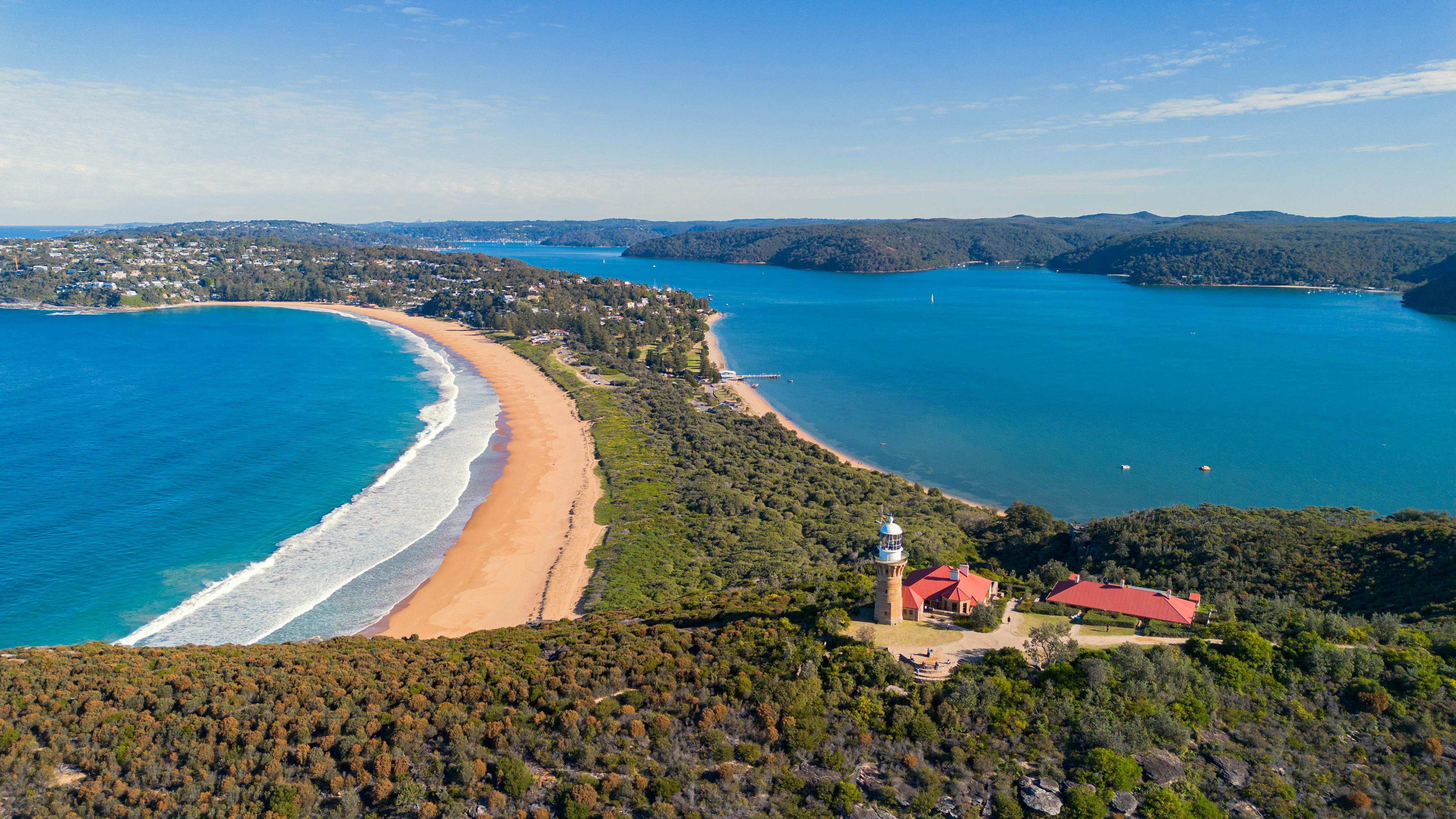 The Palm Beach